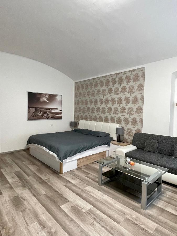 Apartament Wenceslas Square Two-floor *